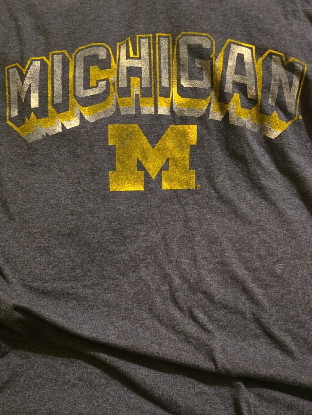Champion Shirt Men's Size Large Blue Tee with Yellow Michigan M Logo Tee